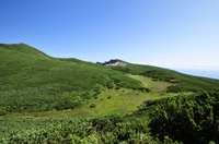 夏の大雪山縦走します２０１５後編