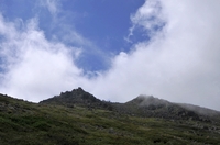 夏の大雪山縦走後編