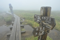 夏の大雪山縦走中編