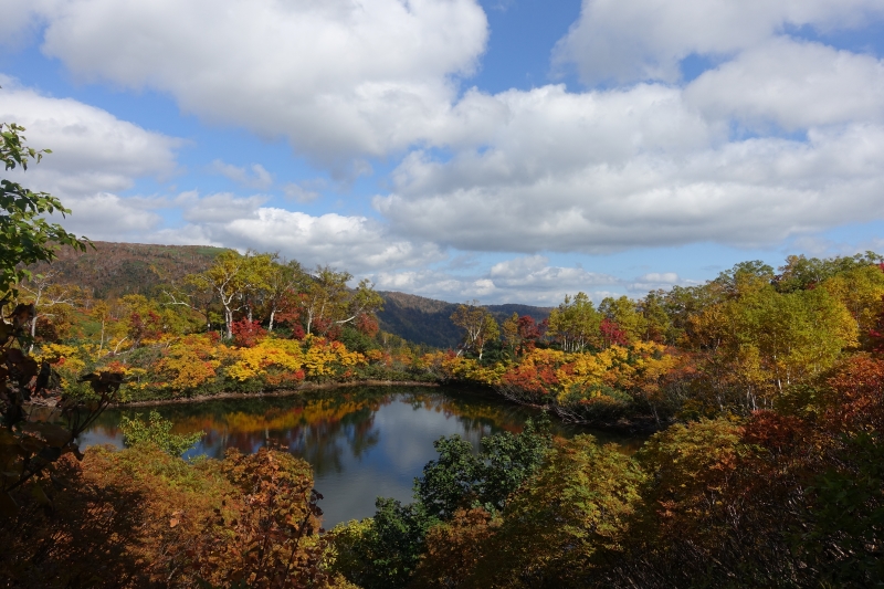 紅葉の人気スポットです