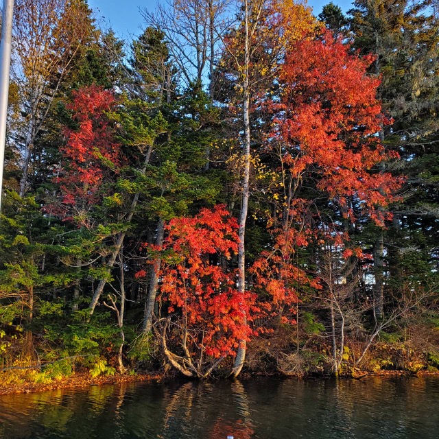 紅葉のチュウルイ島