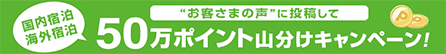 'お客様の声'に投稿して50万ポイント山分けキャンペーン